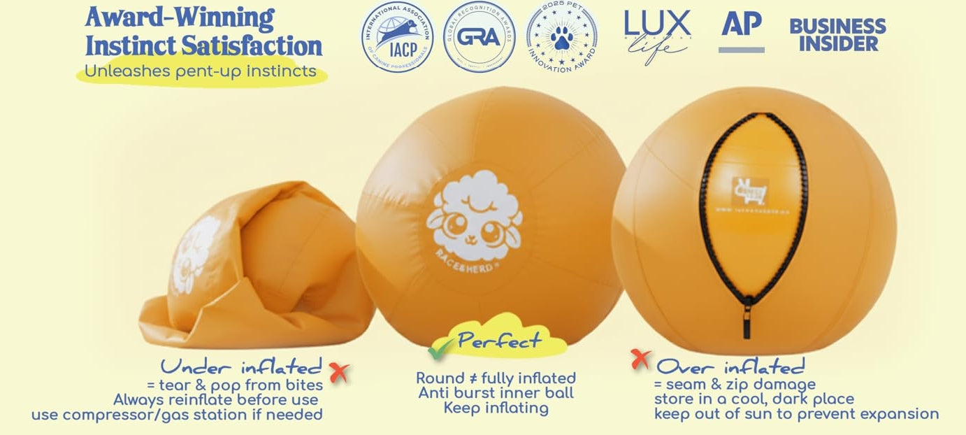 30" Herding Ball for Dogs | XLarge