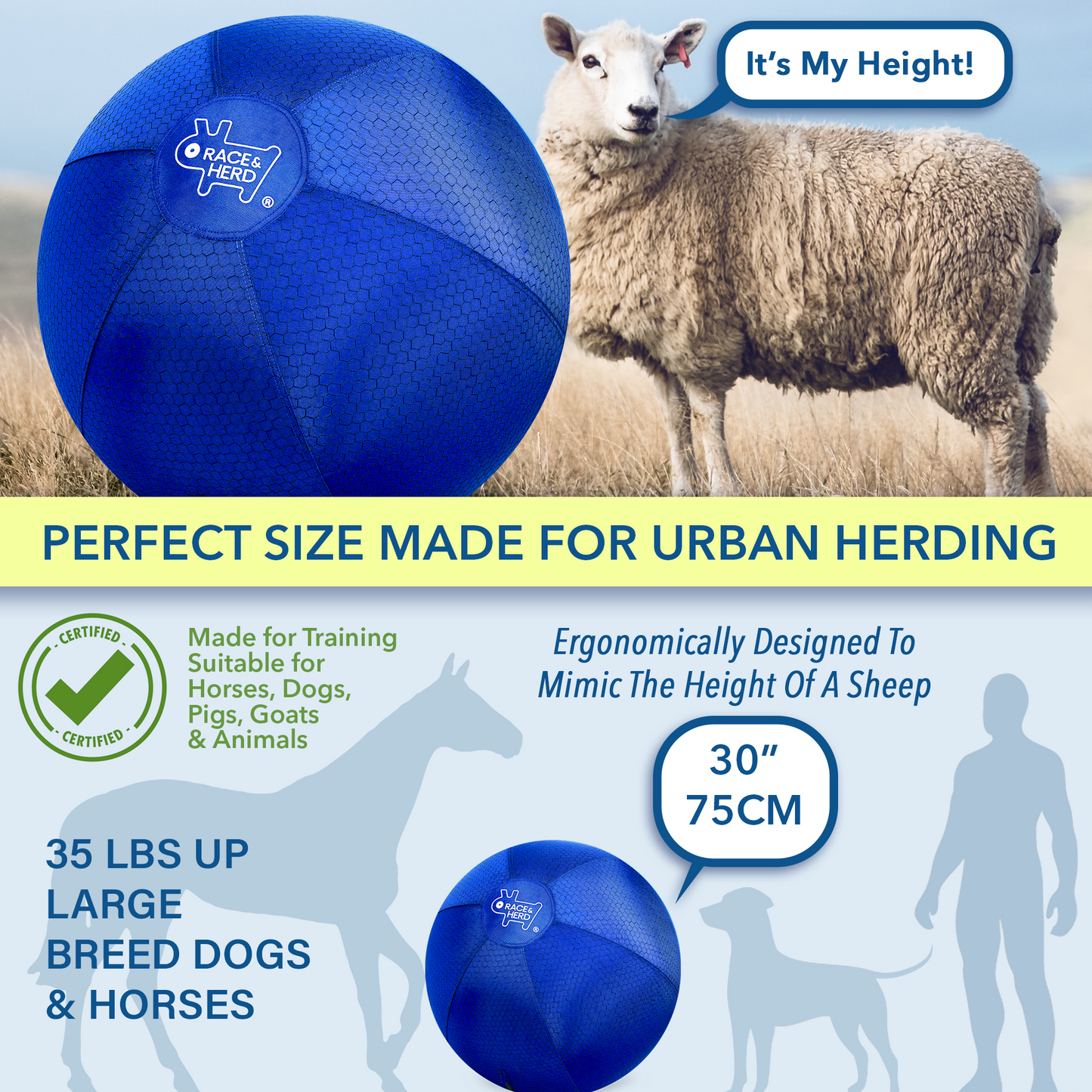 Large Herding Ball for Dogs