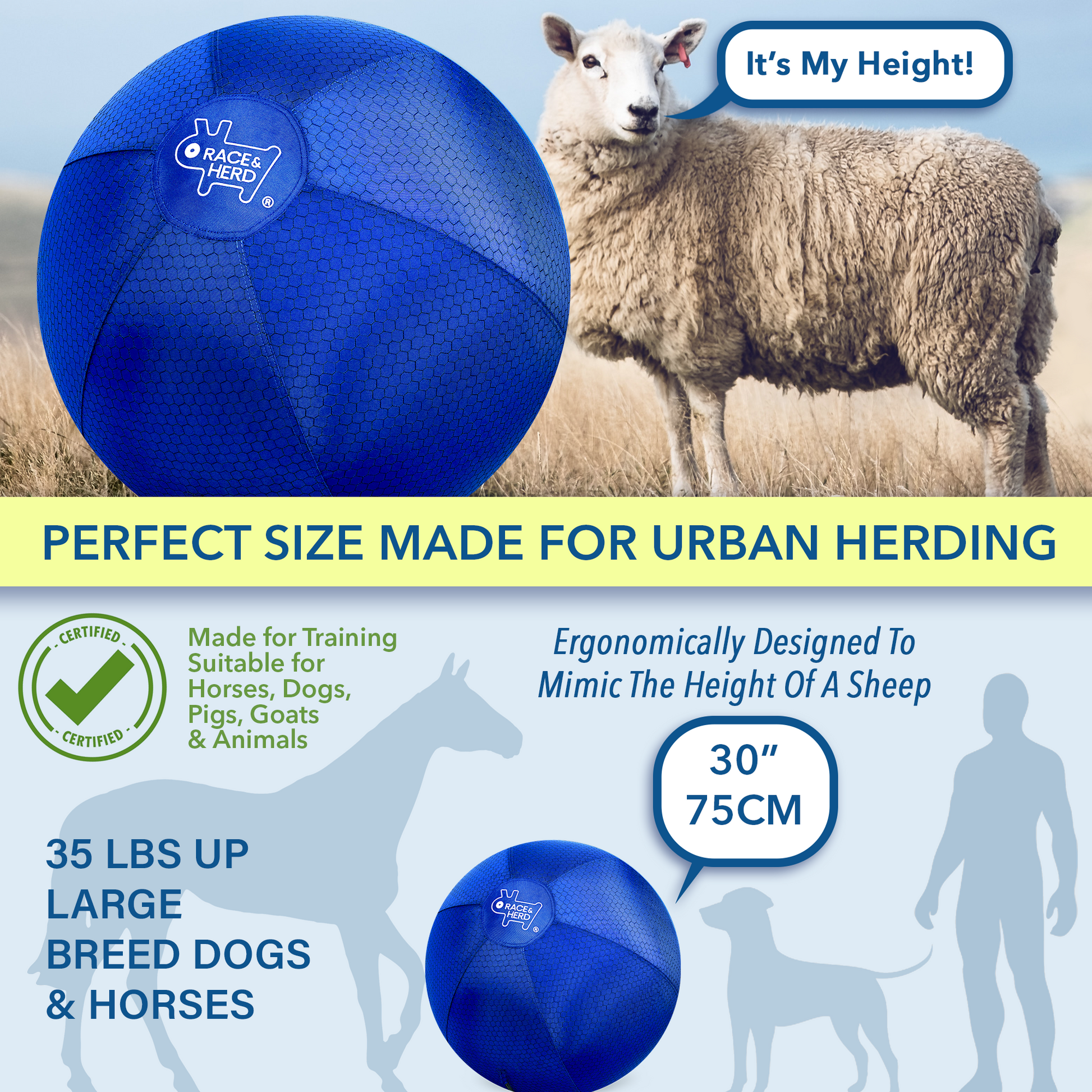 Large Herding Ball for Dogs
