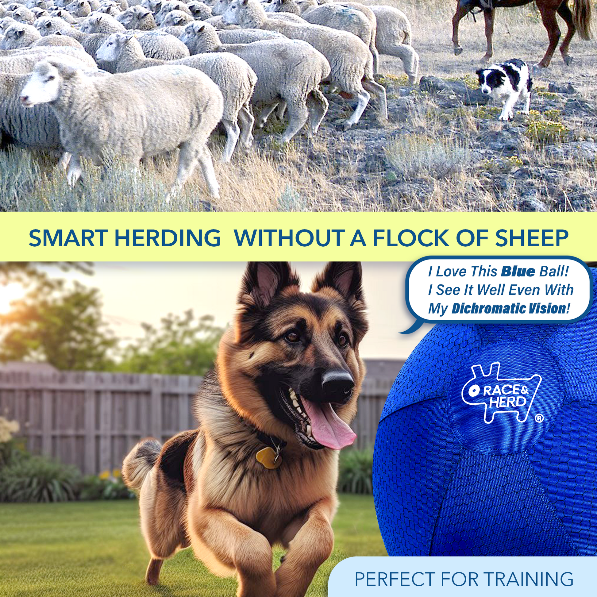 Large Herding Ball for Dogs