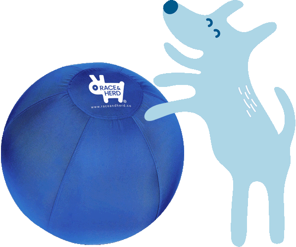 Herding Ball With Dog