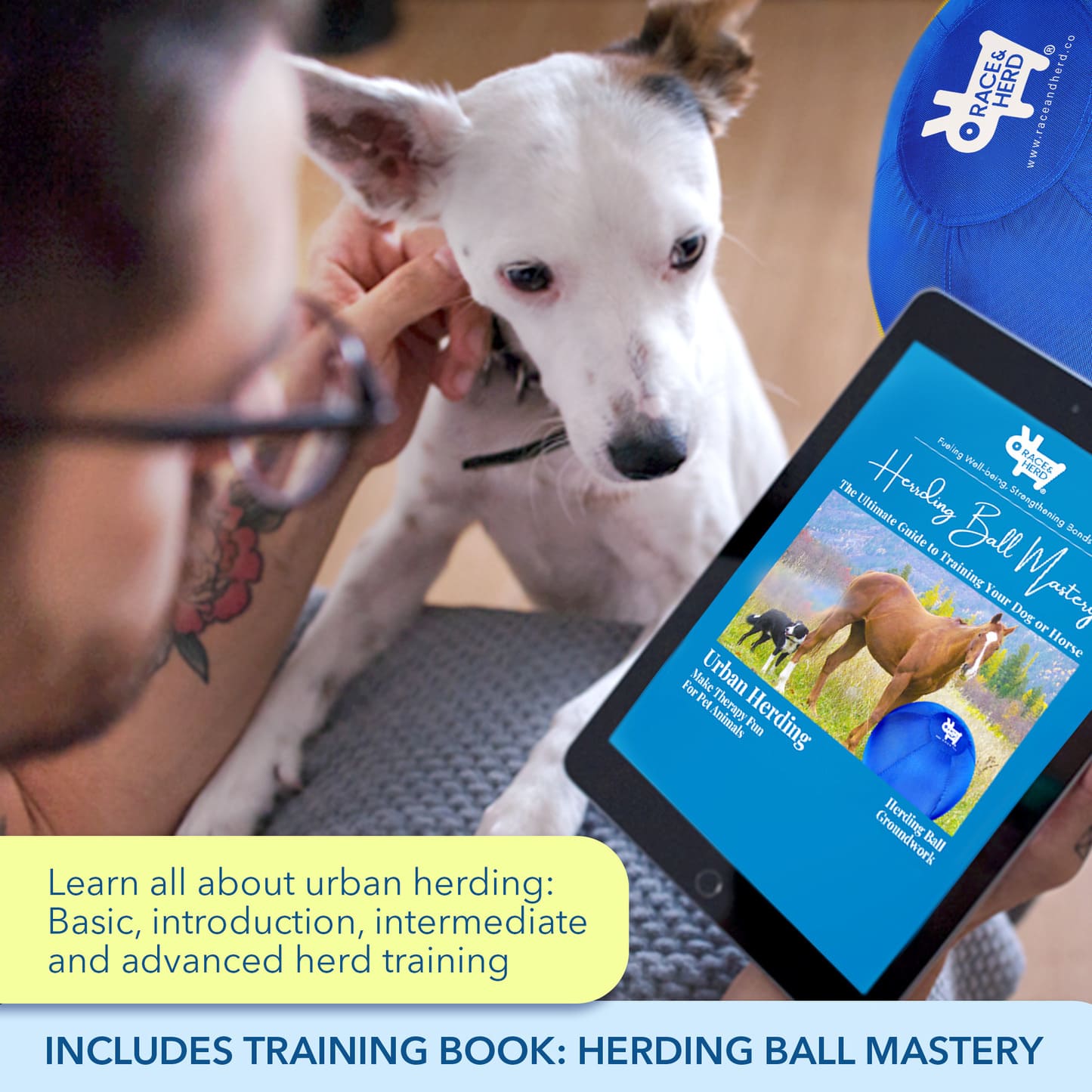 Large Herding Ball for Dogs