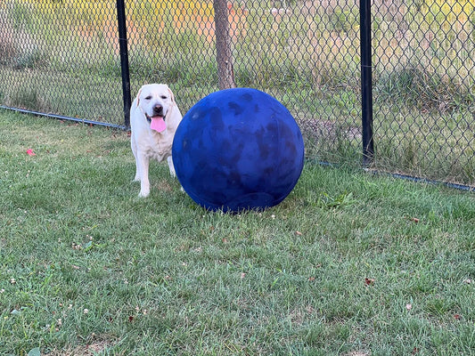 Is Your Dog's Herding Ball Safe? Why Quality Matters