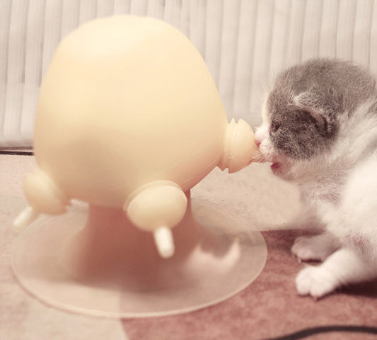 kitten nursing bottle