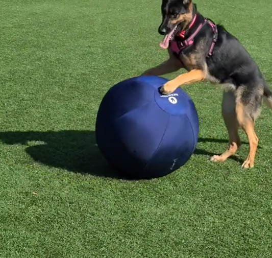 Have You Heard of Herding Balls?