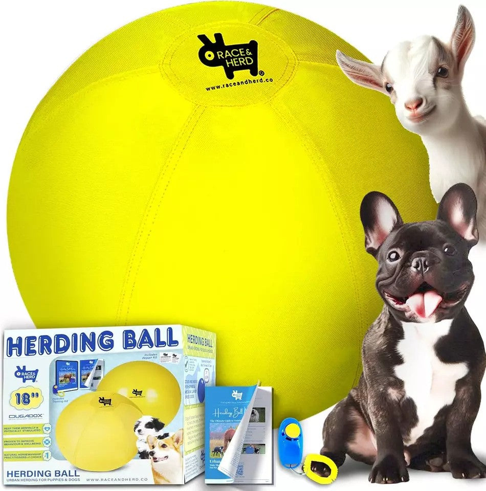 Interactive Herding Ball for Australian Shepherds, German Shepherds, Aussies & Collies - Mental Stimulation Herding Ball for Herding Dogs