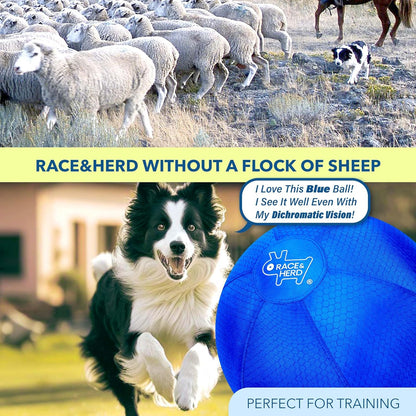 22" Herding Ball for Dogs | Medium