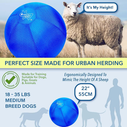 22" Herding Ball for Dogs | Medium