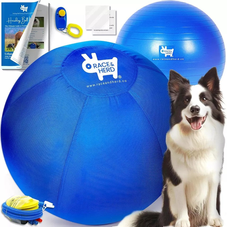 Interactive Herding Ball for Australian Shepherds, German Shepherds, Aussies & Collies - Mental Stimulation Herding Ball for Herding Dogs