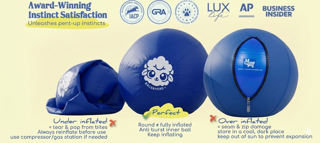 25" Herding Ball for Dogs | Medium