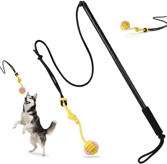 Outward Hound Tail Teaser | Dog Flirt Pole Toy