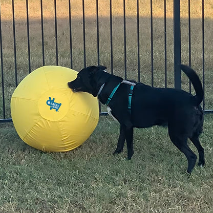 Interactive Herding Ball for Australian Shepherds, German Shepherds, Aussies & Collies - Mental Stimulation Herding Ball for Herding Dogs