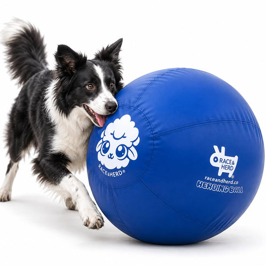 Herding Ball for Dogs — Large 25" (Blue)