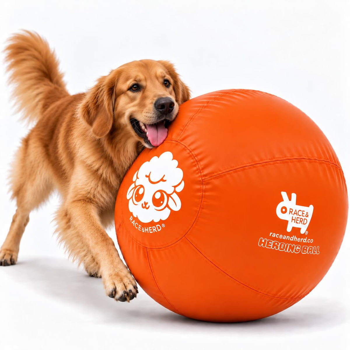Herding Ball for Dogs — XLarge 30" (Tangerine)