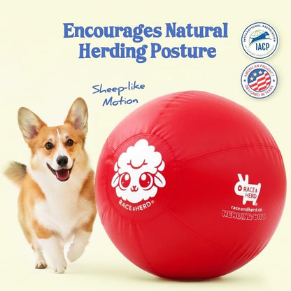 18" Herding Ball for Dogs | Small