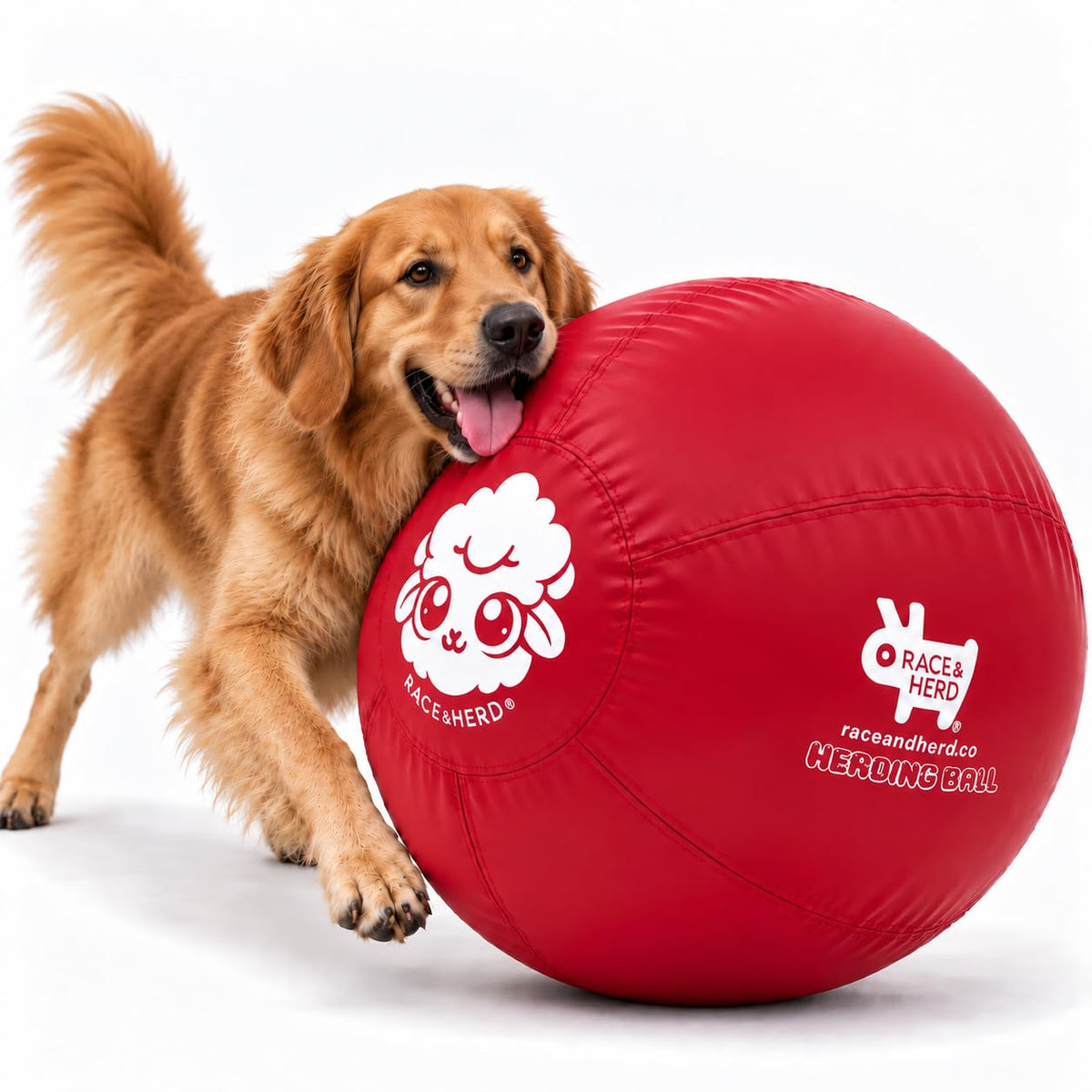 Herding Ball for Dogs — XLarge 30" (Cherry)