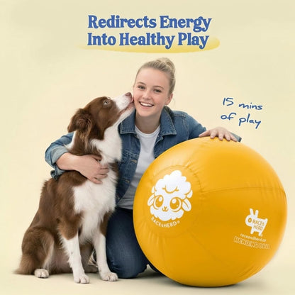 22" Herding Ball for Dogs | Medium
