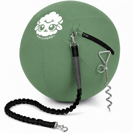 Herding Ball for Dogs Tetherball Set Outside 22" (Sage)