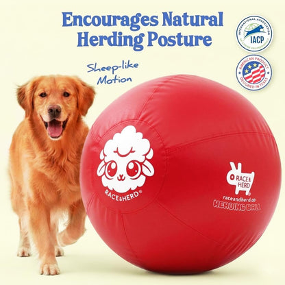 30" Herding Ball for Dogs | XLarge