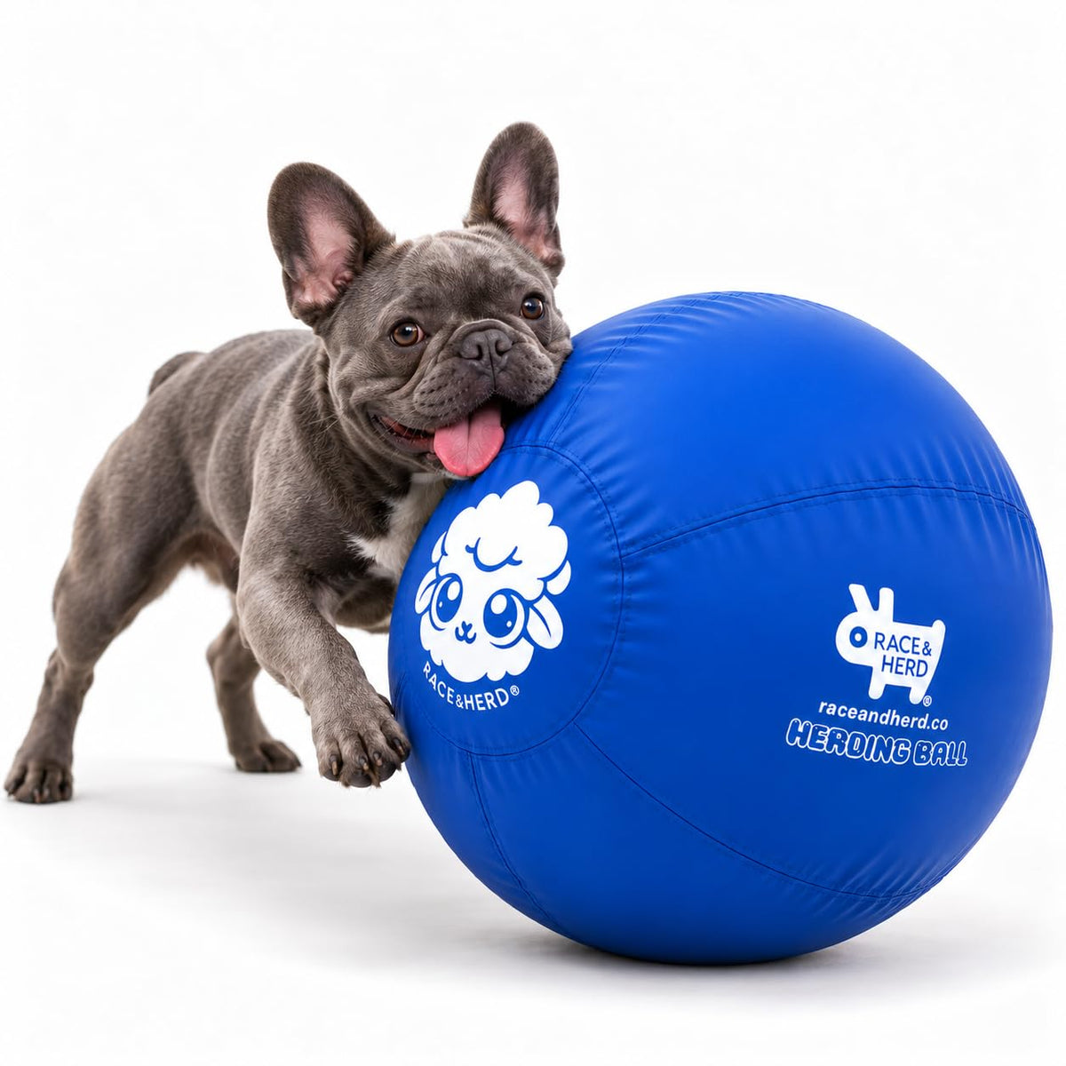 Herding Ball for Dogs — Small 18" (Blue)