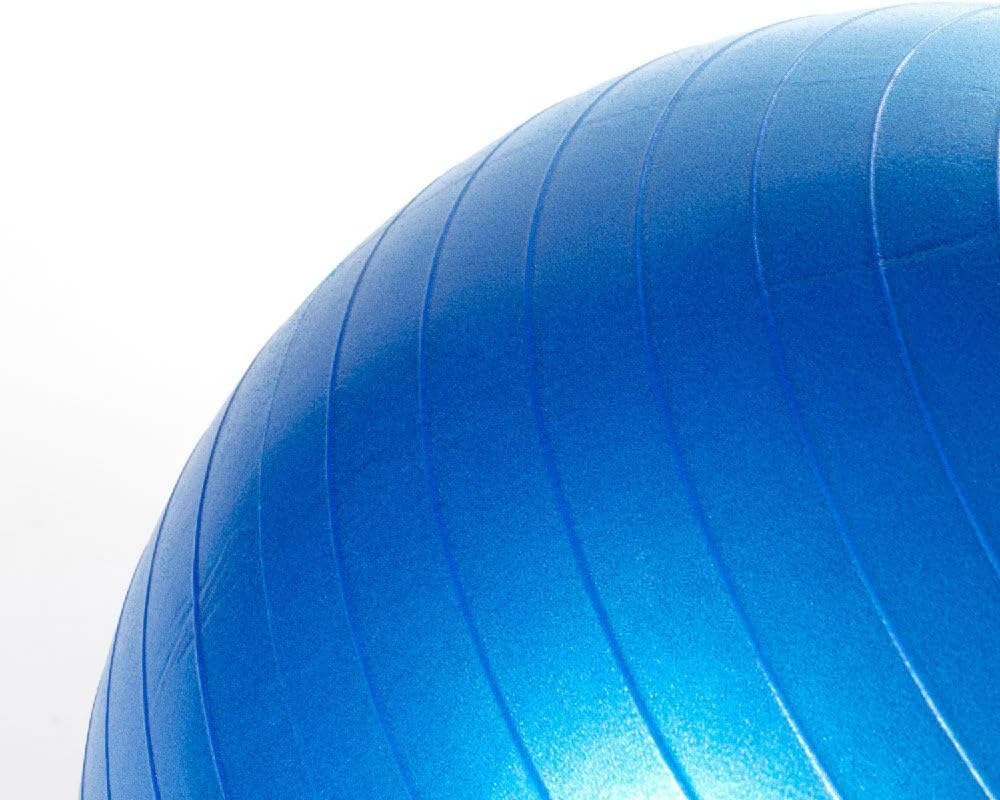 18" Herding Ball Replacement | Inner Ball Only