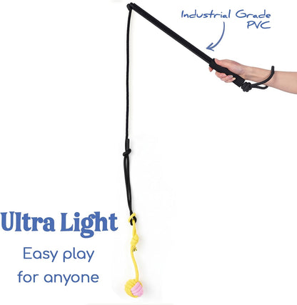 Outward Hound Tail Teaser | Dog Flirt Pole Toy