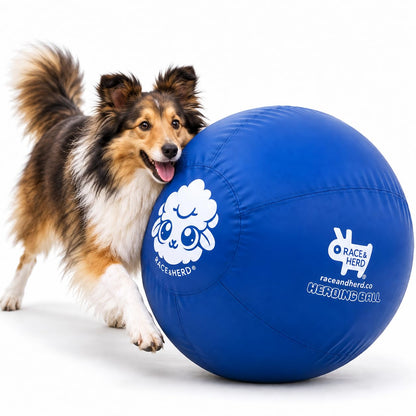 Original Herding Ball for Dogs — Balls for Dog Toys 22" (Ocean)