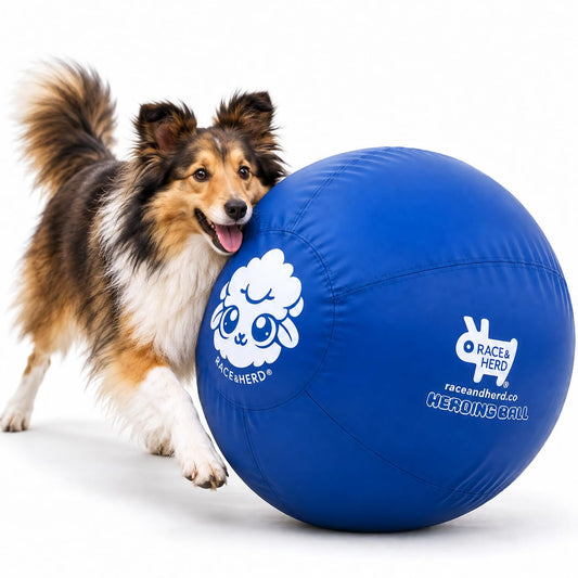 Original Herding Ball for Dogs — Balls for Dog Toys 22" (Ocean)