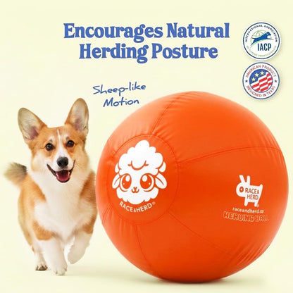 18" Herding Ball for Dogs | Small
