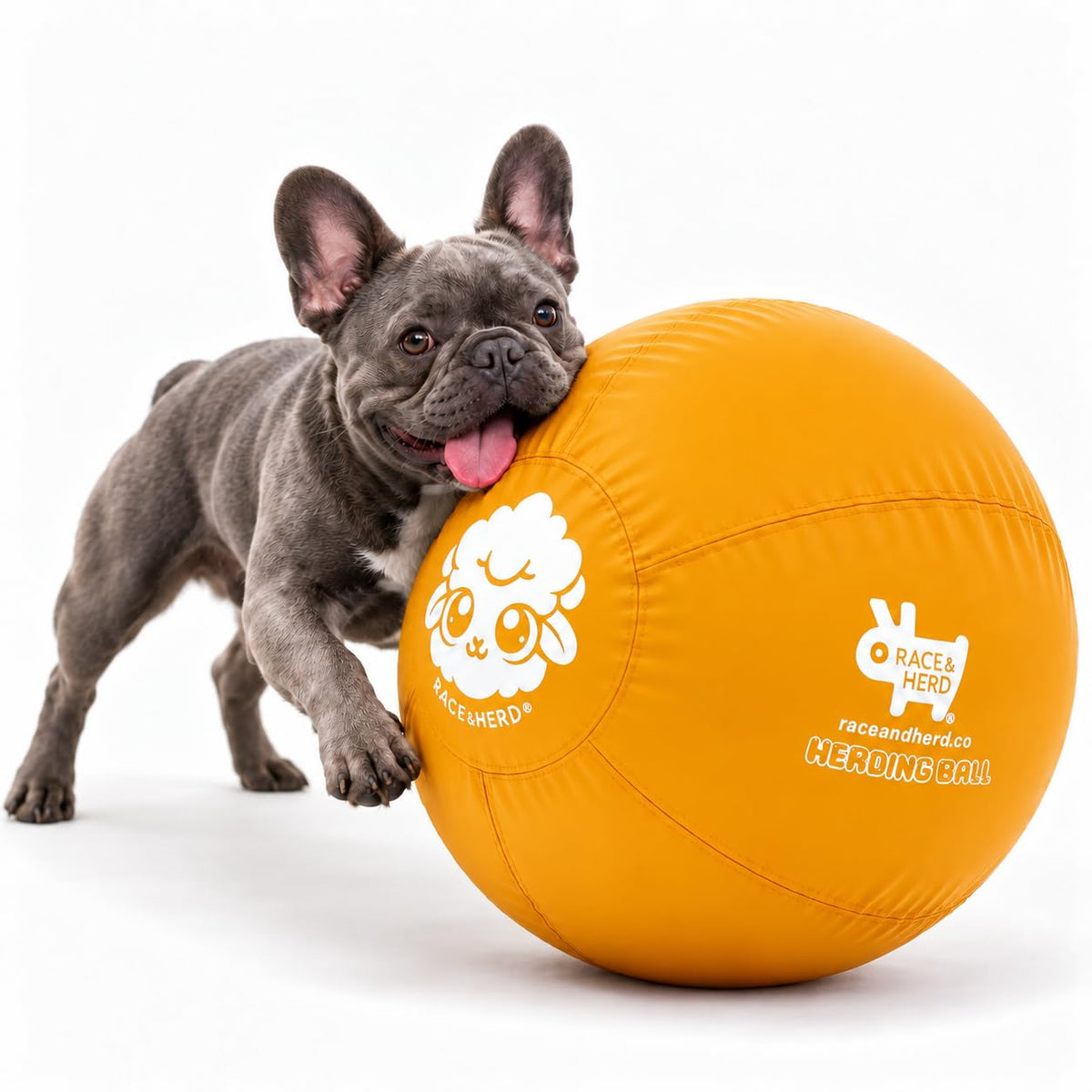 Herding Ball for Dogs — Small 18"