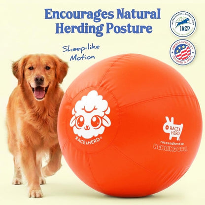 30" Herding Ball for Dogs | XLarge