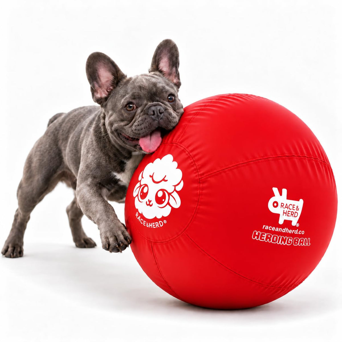 Herding Ball for Dogs — Small 18" (Cherry)