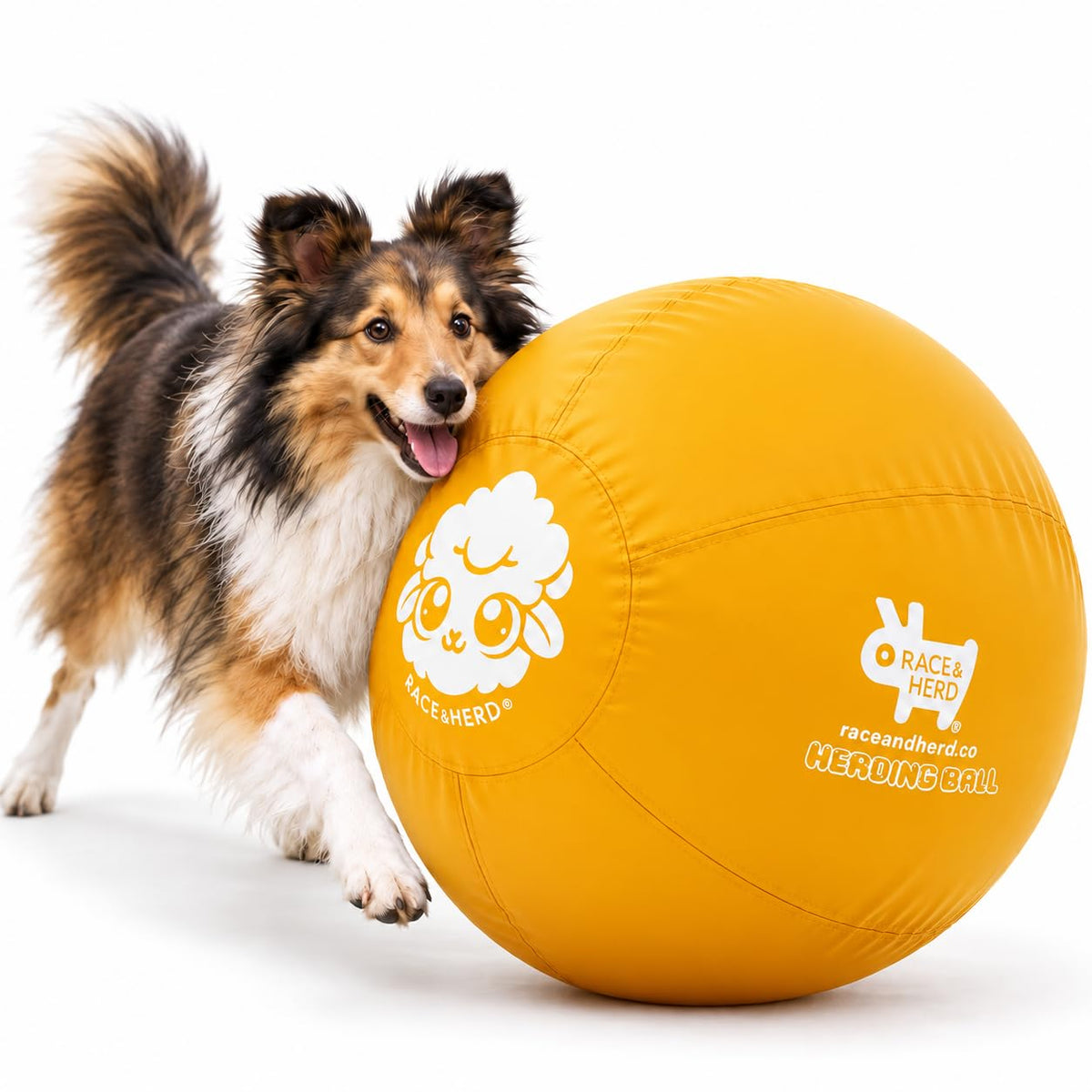 Herding Ball for Dogs — Medium 22" (Yellow)