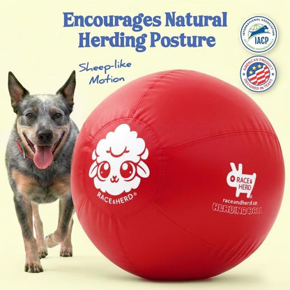 25" Herding Ball for Dogs | Large