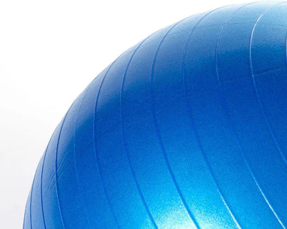 25" Herding Ball Replacement | Inner Ball Only