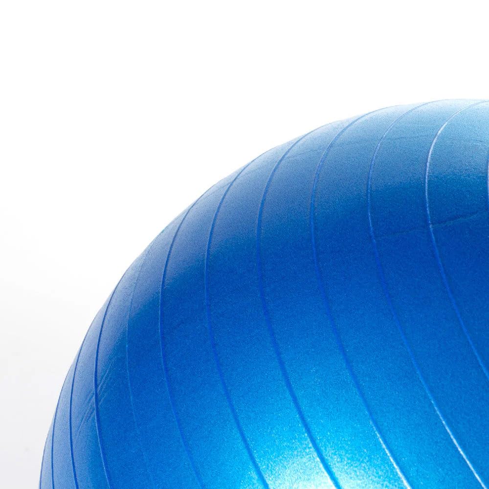 Herding Ball Replacement  — Large 25" Inner Ball Only