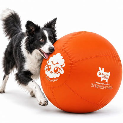 Herding Ball for Dogs — Large 25" (Tangerine)