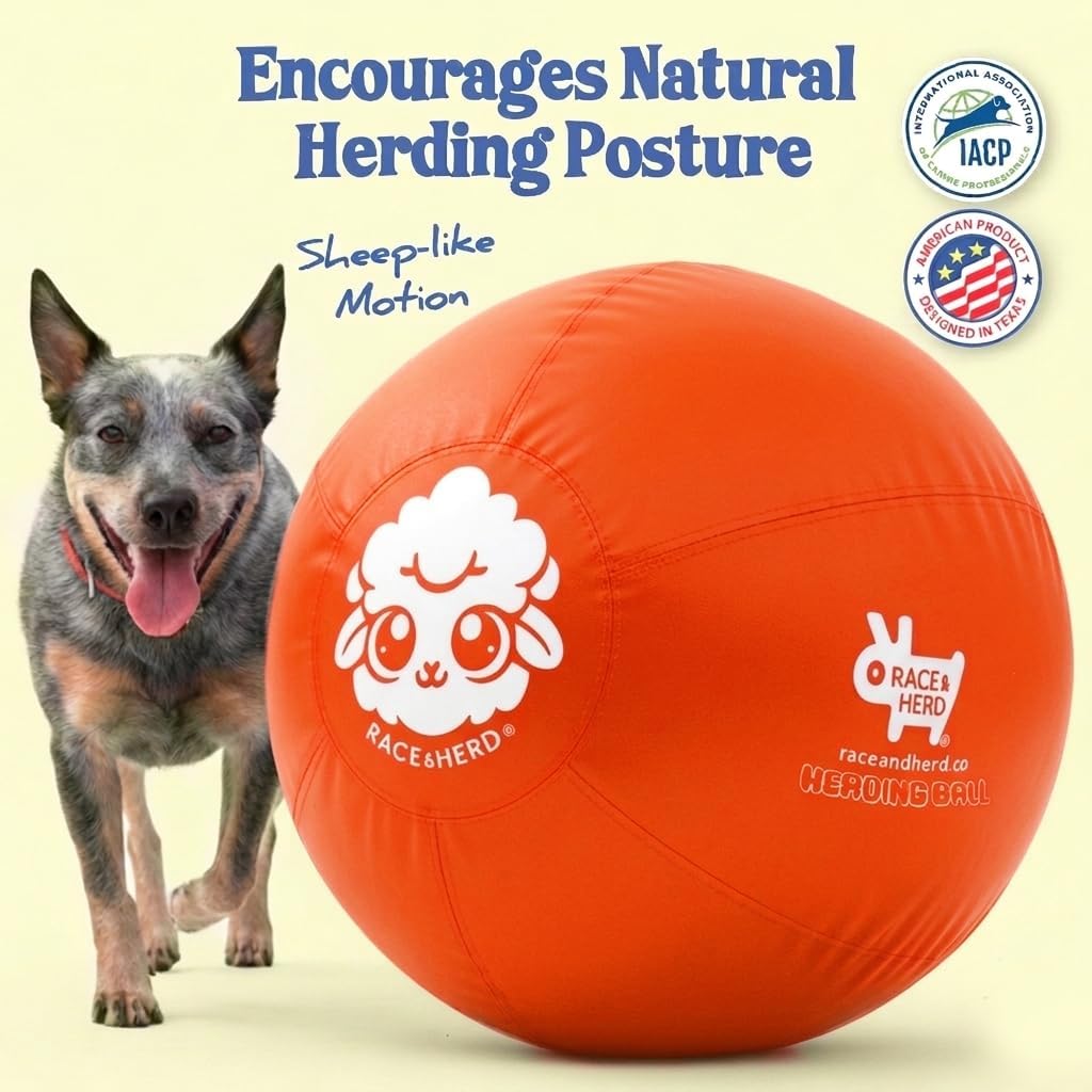 25" Herding Ball for Dogs | Large