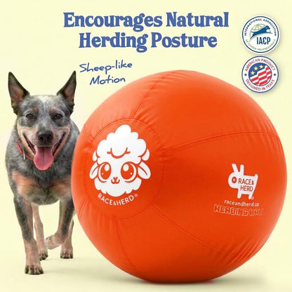 25" Herding Ball for Dogs | Large