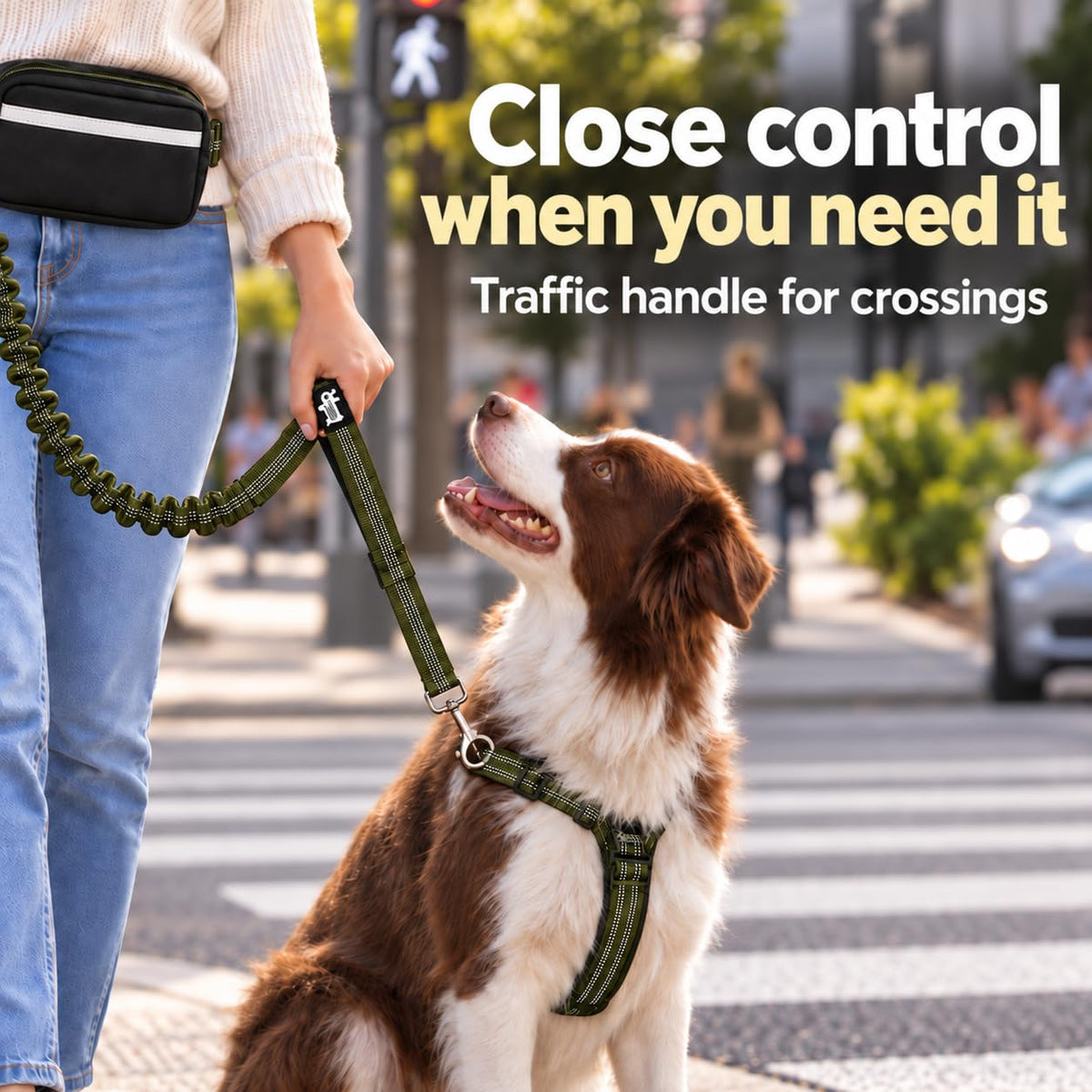 Dog Running Leash Hands Free — 68" Bungee Waist Belt (Olive)