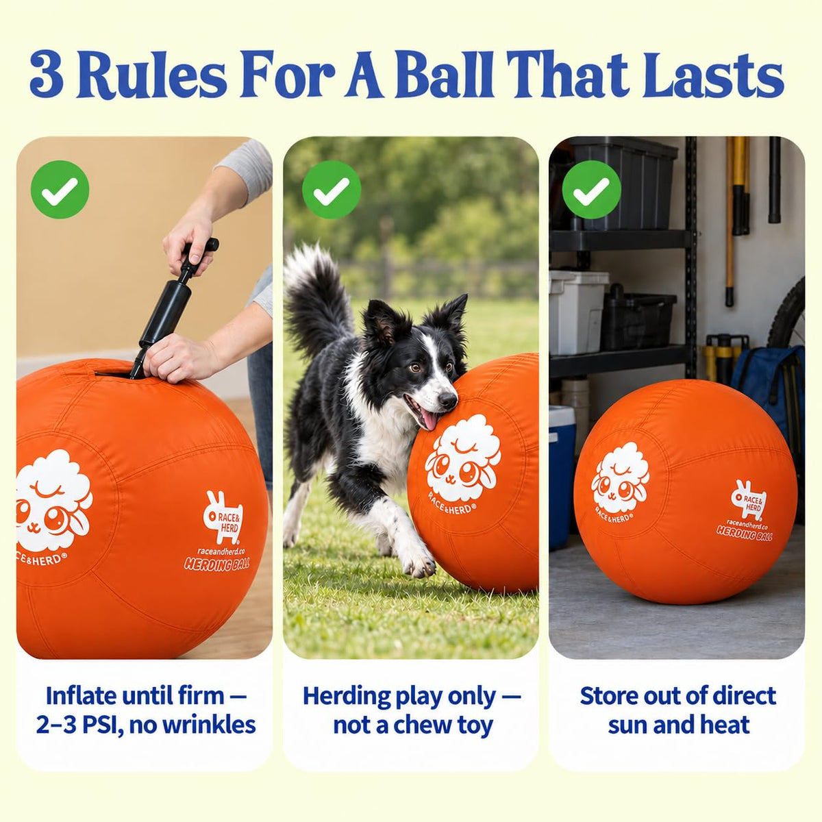Herding Ball for Dogs — Large 25" (Tangerine)