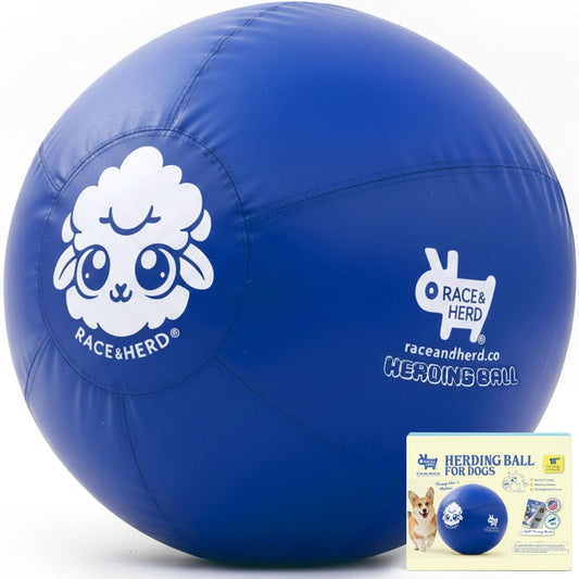 Herding Ball for Dogs — Small 18" (Blue)