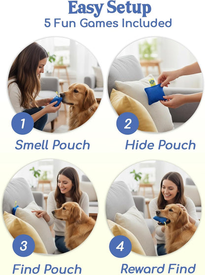 Sniff and Seek Dog Scent Game | Scent Training for Dogs | Orange - 10 Pack Box