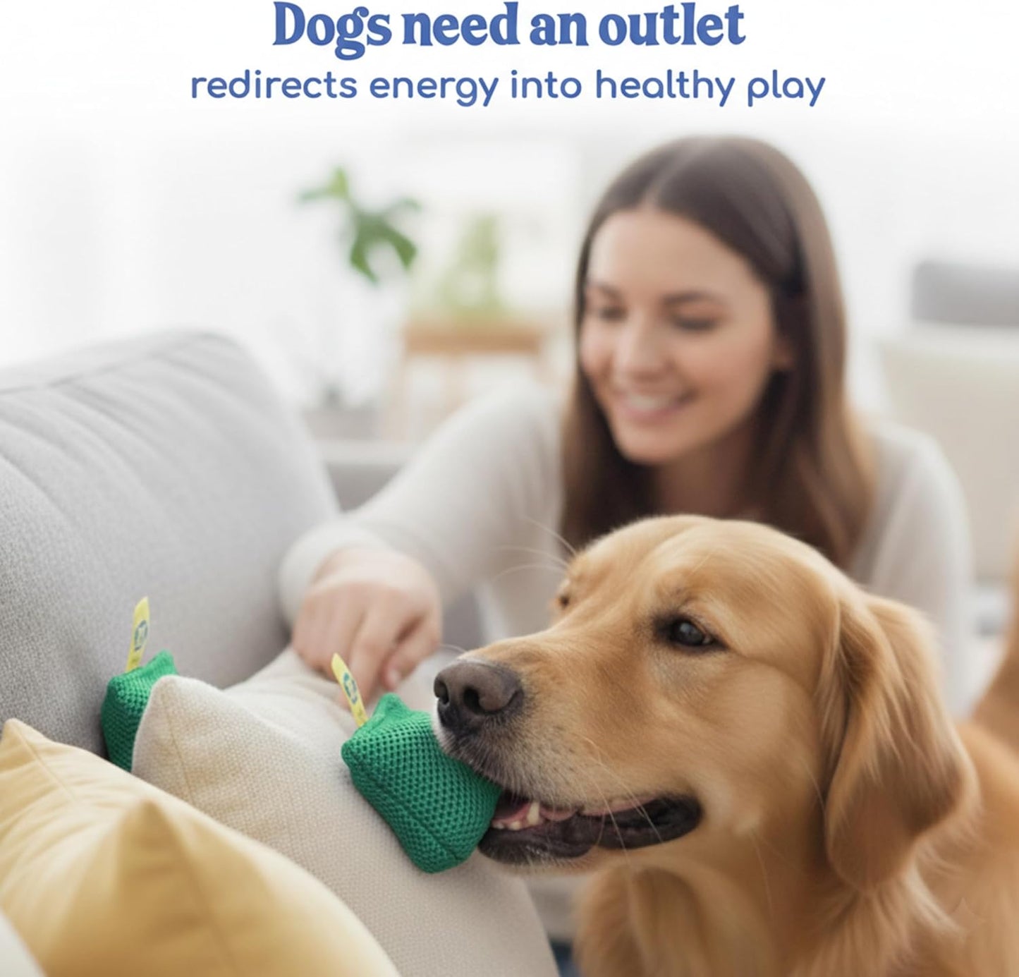 Sniff and Seek Dog Scent Game | Scent Training for Dogs | Green - 10 Pack Box