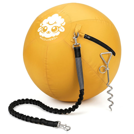 Herding Ball for Dogs Tetherball Set Outside 22" (Gold)