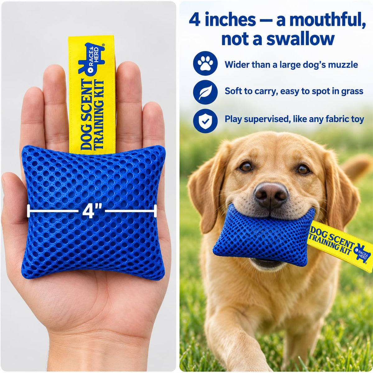 Original Dog Scent Training Kit — 6 Pcs Pouches Nosework Set (Blue, Bag)