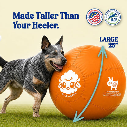 Herding Ball for Dogs — Large 25" (Tangerine)