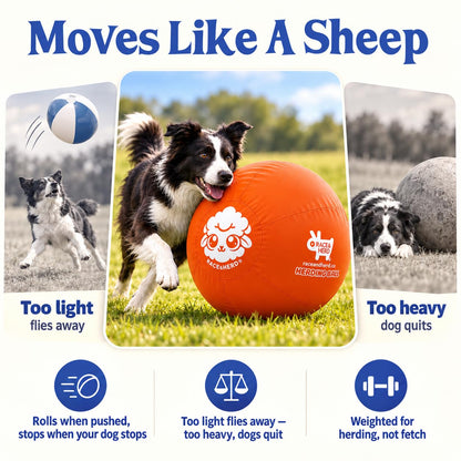 Herding Ball for Dogs — Large 25" (Tangerine)