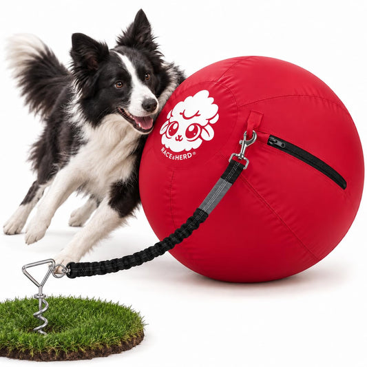 Herding Ball for Dogs Tetherball Set Outside 22" (Cherry)