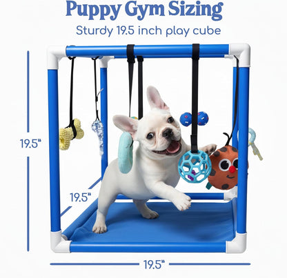Puppy Play Gym  |  Dog Play Mat, 8 Bungee Straps